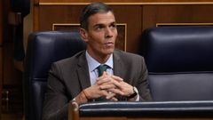 El presidente del Gobierno, Pedro S�nchez, durante el pleno extraordinario del Congreso de los Diputados este martes, en Madrid.