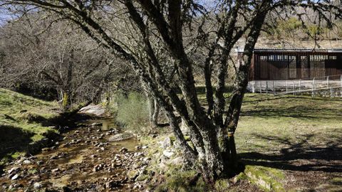 Aldea de O Salgueiro, en Muos.