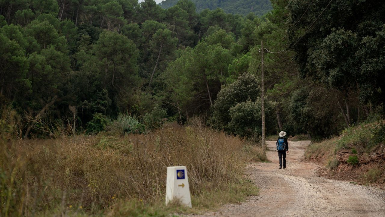 «Peregrina»: El Camino que nunca llegó a Santiago
