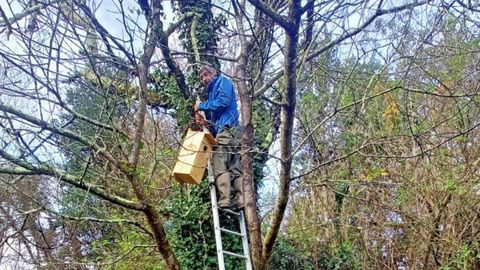 Cajas-nido instaladas en una�pomarada de Taborneda