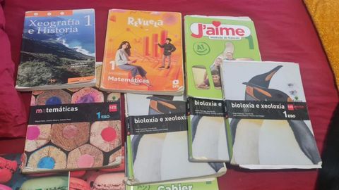 Algunos de los libros donados en la campaña impulsada por Donar o Solicitar en Viveiro
