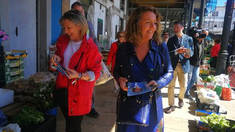 La candidata a la presidencia del Principado por el PP, Teresa Mallada, junto a la candidata a la Alcald�a de Avil�s, Esther Llamazares, visita el mercado de la plaza de los Hermanos Orb�n