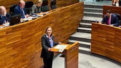 La diputada Ana Gonz�lez Cachero, en su intervenci�n este mi�rcoles por la ley de Infancia en la Junga General