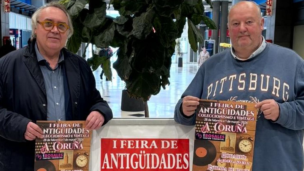 Mercado de antigüedades en Los Rosales