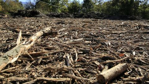 La caldera se alimentar de biomasa forestal