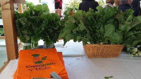 El Concello de Abad�n organiza, desde hace a�os, la feria anual Expogrelo