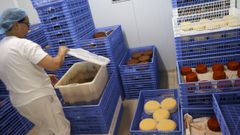 La fbrica de quesos, que se cre en 2005 y se ampli en 2019, es la principal fuente de ingresos de la sociedad