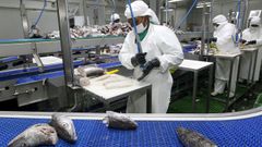 Pescados Rub�n, de Foz, en imagen de archivo, lidera la facturaci�n en A Mari�a junto con ABSA (Burela) y Puerto de Celeiro (Viveiro), seg�n el Informe Ard�n 2021