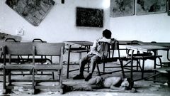 Fotograf�a ga�adora do concurso