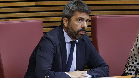 El expresidente de la Generalitat, Carlos Maz�n, durante una sesi�n de control el pasado 7 de mayo.