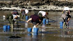 La almeja y el berberecho se recoge artesanalmente, en general por mariscadores, en todo el litoral. Lo m�s habitual es hacerlo durante los per�odos de marea baja, a pie, sobre los bancos productores, aunque tambi�n es frecuente que se produzca su extracci�n desde embarcaciones con rastros de vara que se llevan al fondo a modo de rastrillo.