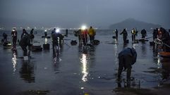 Mariscadoras en abril en A Seca, en Poio, en la r�a de Pontevedra