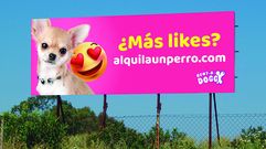 La campa�a �Alquila un perro�