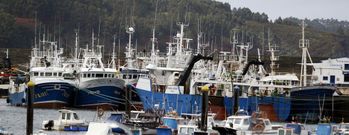 Muchos arrastreros aprovecharon ayer, hasta media tarde, para faenar, pero otros ya se hab�an guarecido antes en puertos como Celeiro. 