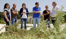Representantes del BNG de la zona instan a la Xunta a acabar la obra. 