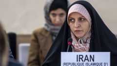 La representante de Ir�n durante la sesi�n del Consejo de Derechos Humanos Khadijeh Karimi