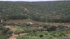 Vistas del entorno de Almadn de la Plata, en Sevilla, en una imagen de archivo