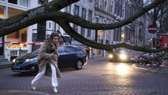 Una mujer pasa bajo un �rbol ca�do en el centro de �msterdam a causa del temporal