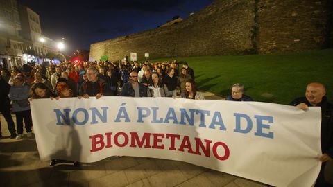 Manifestacin en Lugo contra la planta de Coeses