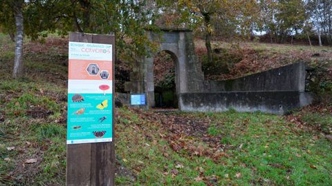 Bosque Atl�ntico de Cerveiros, en Bergondo