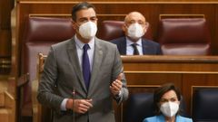 Casado a S�nchez: �Deje de meter la cabeza en el suelo como una avestruz�