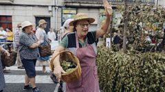 Festa da Vendimia, en Leiro