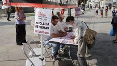 firmas
