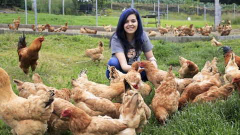Sandra L�pez, en su explotaci�n av�cola