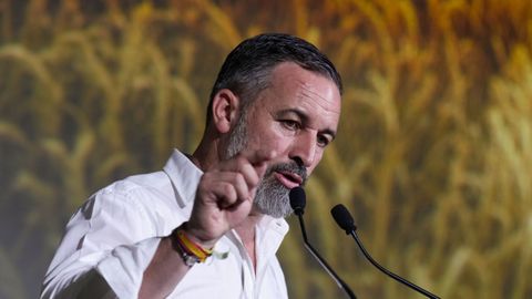 El l�der de VOX Santiago Abascal, en un acto p�blico del partido tras la Asamblea General Ordinaria de VOX.