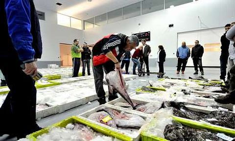 En la fotograf�a, una subasta de pescado en las instalaciones de la lonja de Cedeira. 