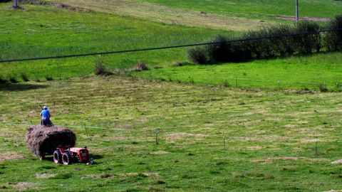 Imagen de archivo de un tractor trabajando una finca.