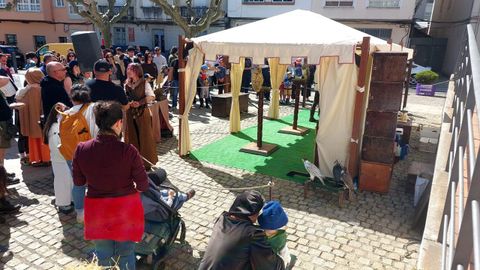 Las demostraciones de cetrer�a congregan a numerosas personas en la plaza de San Antonio