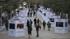 �Compostela, un ano de Voz� luce en la Alameda
