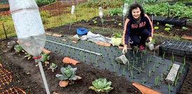 Mar�a Luisa ha colocado unas botellas en unas varas met�licas para espantar a los topos.