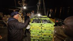 Cerqueros descargando sardina en el puerto de Corcubin a mediados del pasado julio