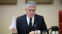 Fernando Grande-Marlaska, durante la comisi�n en el Congreso de los Diputados