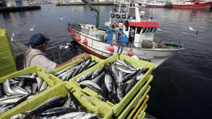 La sardina, la xouba o la caballa son ricas en omega-3.