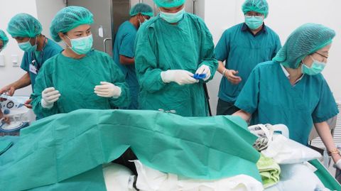 La tortuga Omsin (�hucha�), de 25 year, se trag� casi mil monedas.