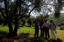 Visita de t�cnicos italianos a un olivar de Quiroga, en una imagen de archivo.