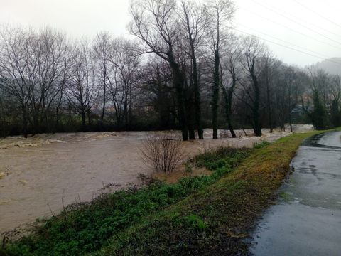 El Narcea a punto de desbordarse en Cornellana