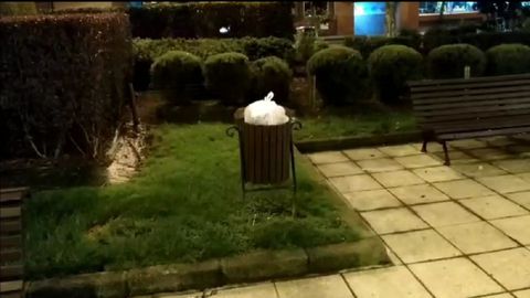 Varias ratas en una papelera de la calle Marcelino Su�rez