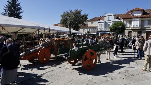 Festa da Pataca en Vilar de Barrio.
