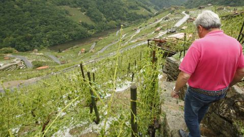 El granizo arrasa los vi�edos en la mayor ribera de Chantada