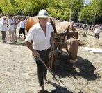 Cada pieza del carro ha sido fabricada en anteriores ediciones. 