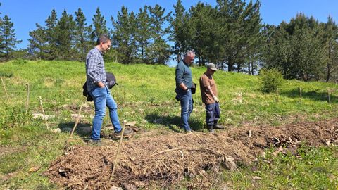 Ignacio Fern�ndez, V�ctor Reiriz y Manuel Gonz�lez
