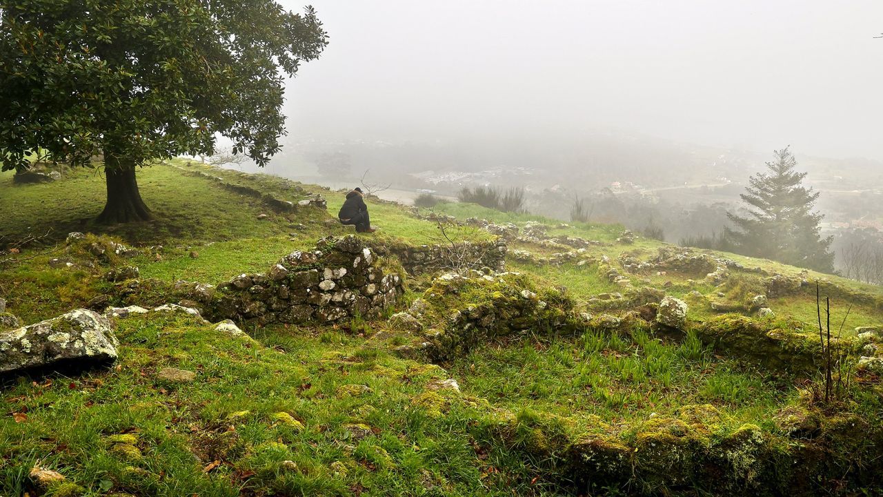Los comuneros de Camposancos autorizan una batida de jabalíes en el monte Trega