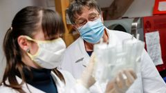 Cient�ficos h�ngaros trabajan en la consecuci�n de una vacuna contra el coronavirus