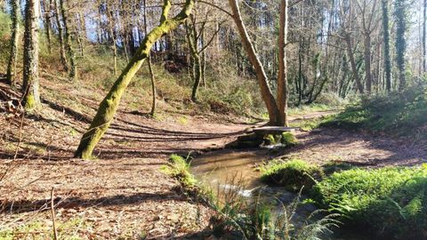 Zona de�de Rialdarca y del robledal del Carrachal