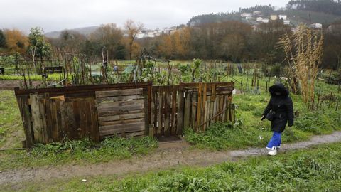 Huerta urbana municipal de Pontepedriña