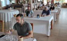 Una veintena de sumilleres participaron en la cata de los vinos de Valdeorras